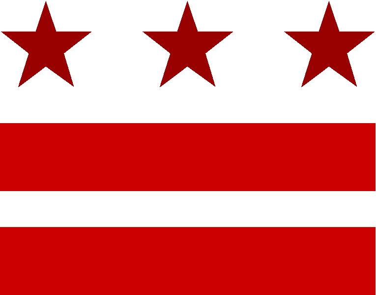 DC Flag Logo